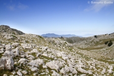 Monte Cervati (Parco Naz. del Cilento)
