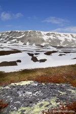 Disgelo sulla tundra norvegese