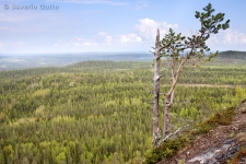 Vista da Valtavaara (Finlandia)