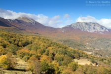 Parco Nazionale del Pollino