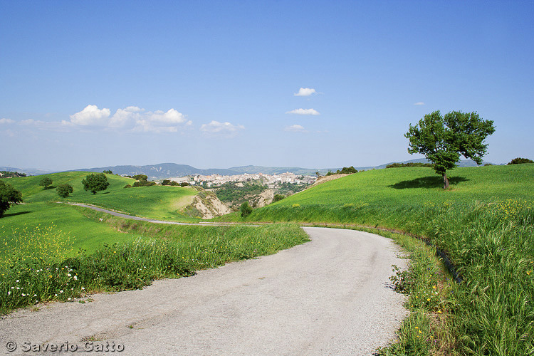 Italian Countryside