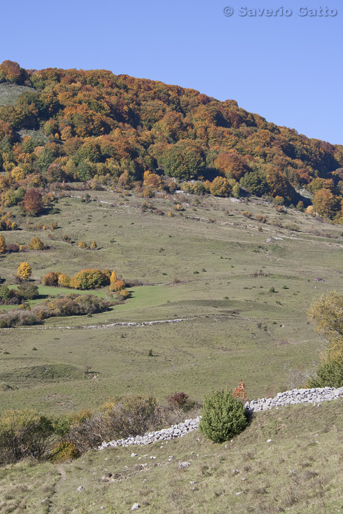 Autumnal Landscape