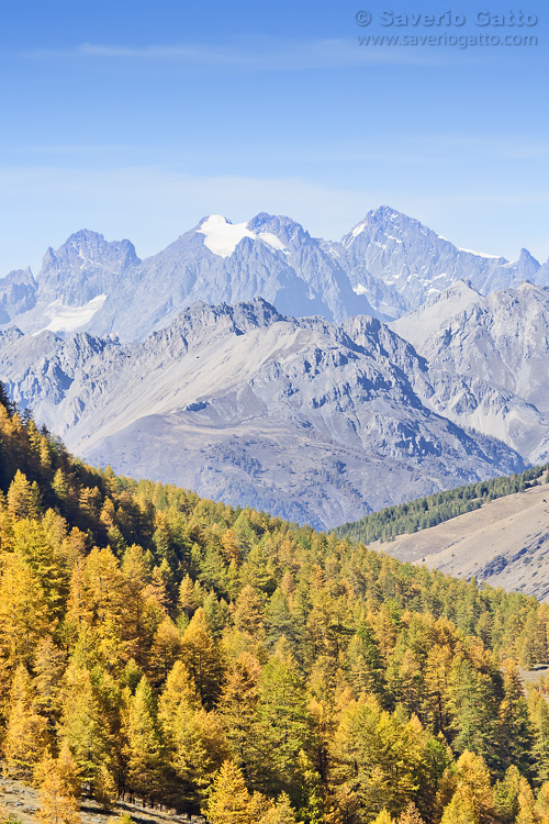 Paesaggio Alpino