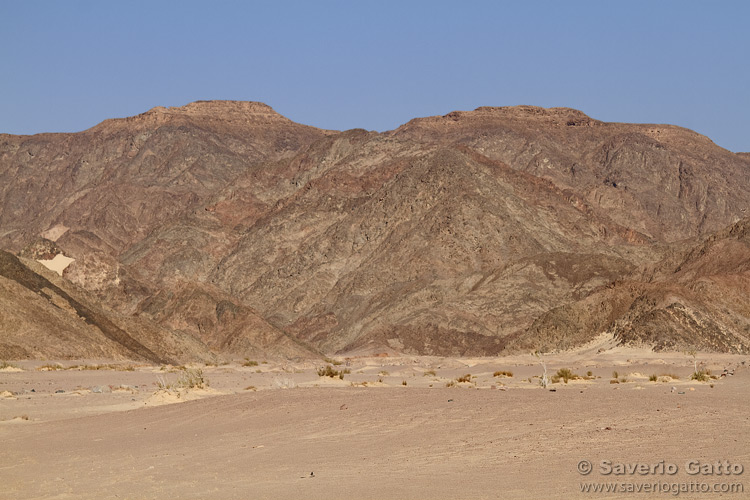 Deserto del Sinai