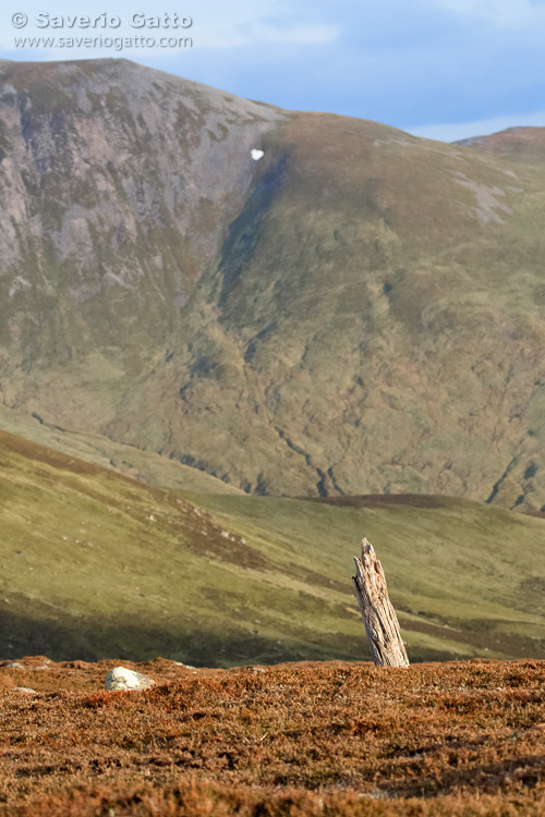 Cairngorms National Park - Scotland