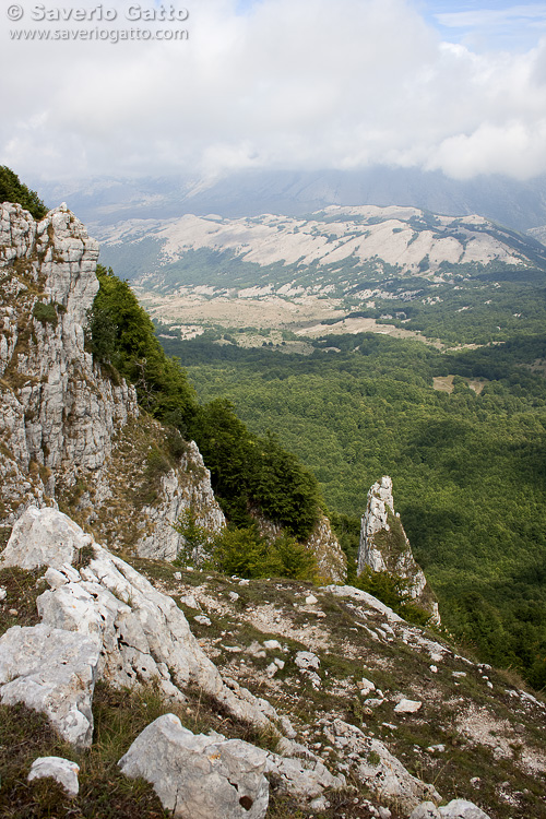 Temponi Beech Forest and Cervati Mount