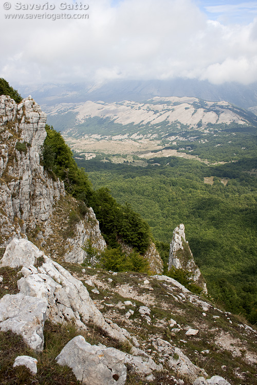 Monte Cervati e Faggeta dei Temponi 