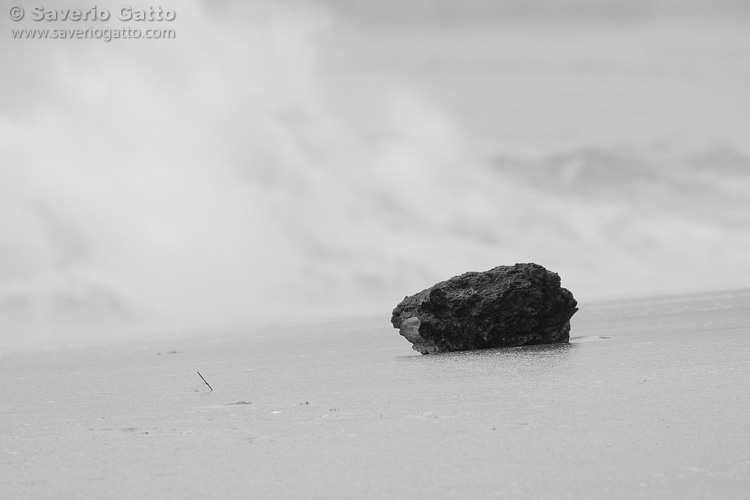 Mare in bianconero