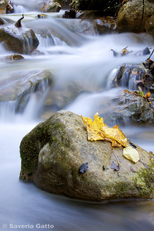 Torrente in autunno