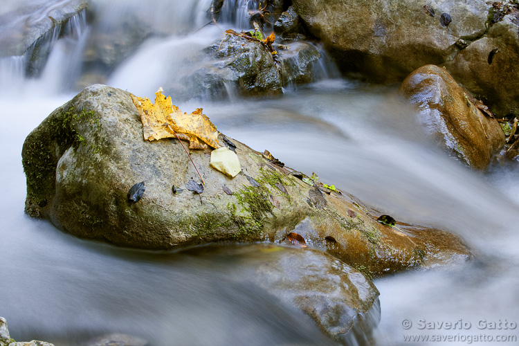 Torrente in autunno