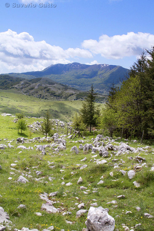 Mount Cervati (Cilento National Park)