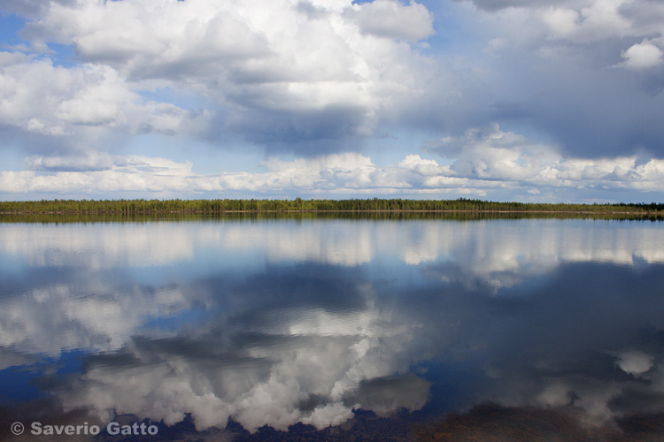 Finnish Landscape