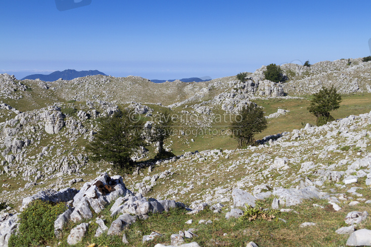 Mount Cervati (Cilento National Park)