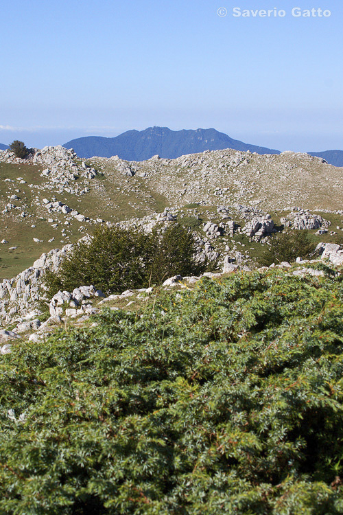 Mount Cervati (Cilento National Park)