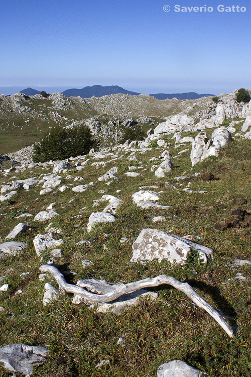 Mount Cervati (Cilento National Park)