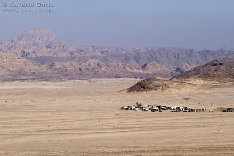 Deserto del Sinai