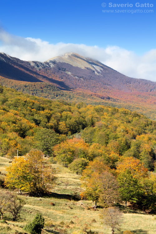 Pollino National Park