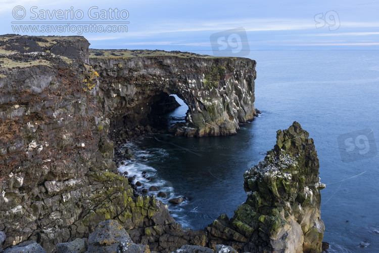 Svortuloft cliffs, cliffs with bird colony