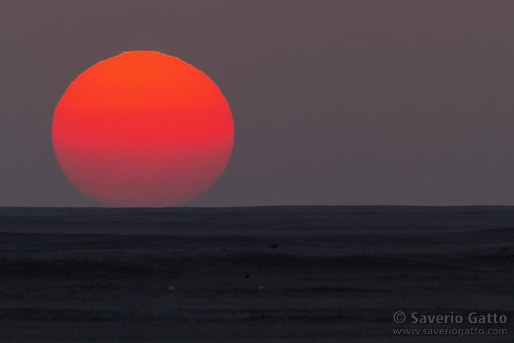 Tramonto sul Quarto Vuoto - Oman