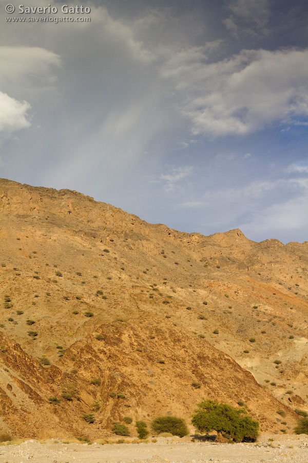 Wadi in Oman