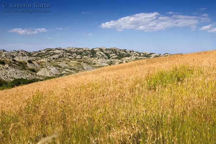 Landscape in Basilicata