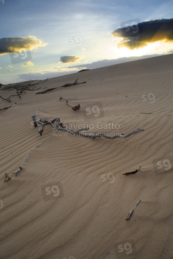 Dune di sabbia a Boavista (Capo Verde)