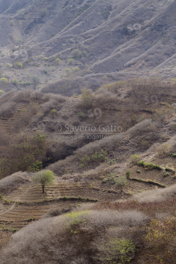 Landscape in Santiago, Cape Verde