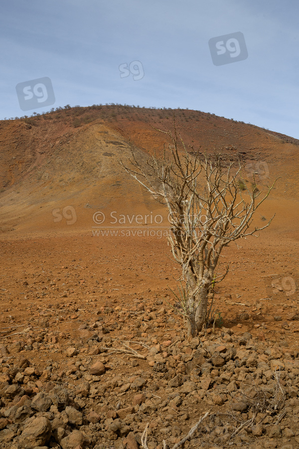 Landscape in Santiago, Cape Verde