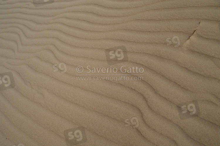 Sand Dunes