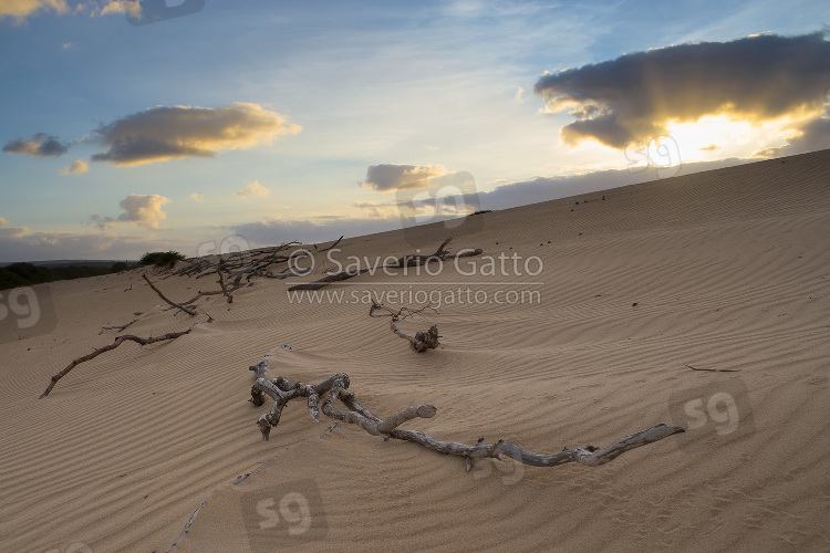 Dunes in Boavista, Cape Verde