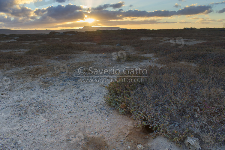 Ilheu dos Passaros (Capo Verde)