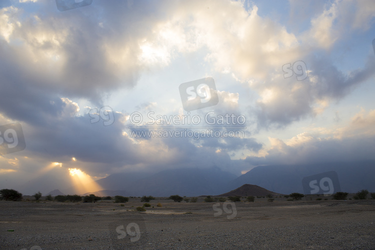 Alba sul deserto dell'Oman
