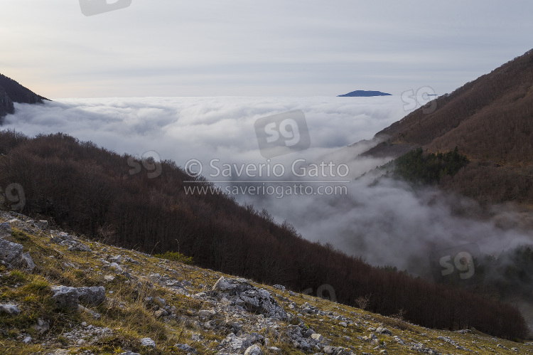 Landscape with clouds