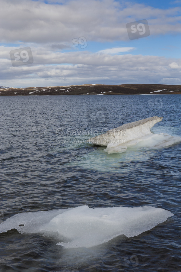 Floating ice, ice floating on a lake