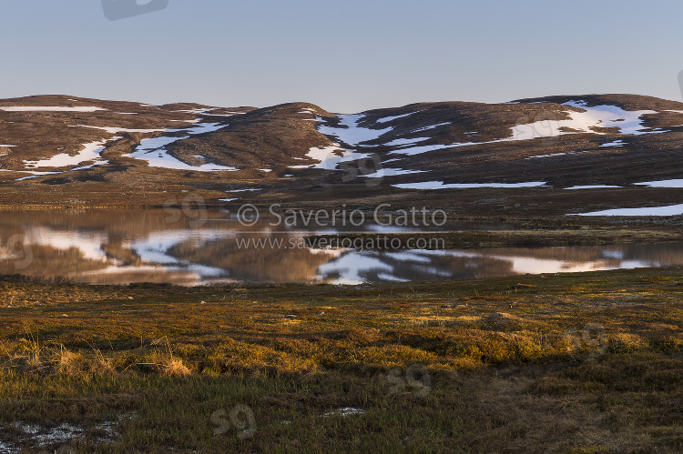 Norwegian tundra, tundra landscape with snow patches