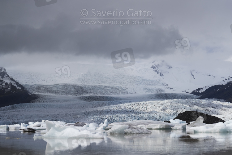 Fjallsarlon Lagoon (Iceland), floating icebergs in the lagoon with glacier in background