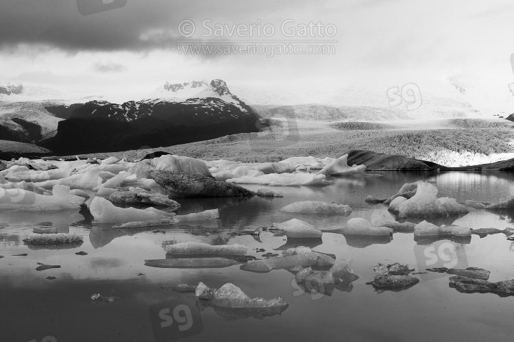 Laguna di Fjallsarlon (Islanda), iceberg in una laguna con un ghiacciaio sullo sfondo