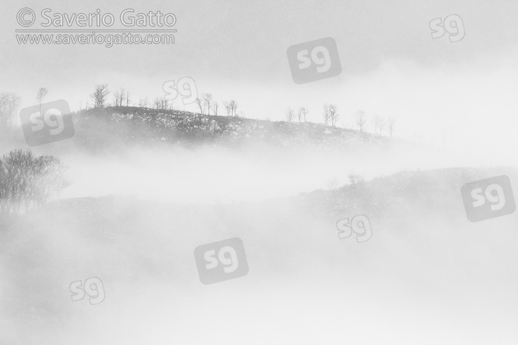 Paesaggio montano, nebbia che avvolge le cime di alcune montagne