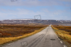 Road to Vardo - Norway