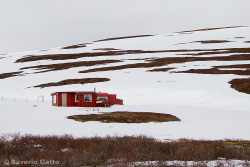 Thaw on Norwegian tundra