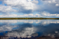 Finnish Landscape