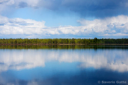 Finnish Landscape