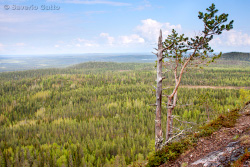 View from Valtavara Hill (Finland)