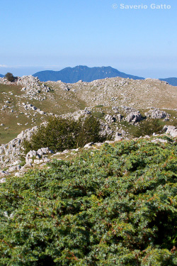 Mount �Cervati (Cilento National Park)