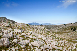 Mount �Cervati (Cilento National Park)