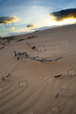 Dunes in Boavista, Cape Verde