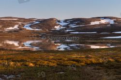 Norwegian tundra